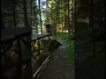 Download Lagu Bikepark Bad Hindelang