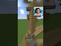 Minecraft Rollercoaster Loop