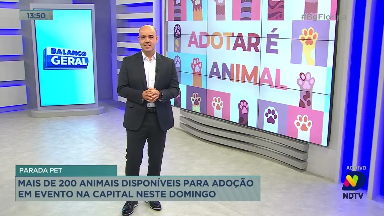 Parada Pet: 200 animais estão disponíveis para adoção em evento de Florianópolis neste domingo