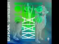 Maia (Rodriguez Jr. Remix)