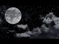Soothing Frogs After Rain | Nighttime Ambience | 10 Hours | Nature Sleep Sounds