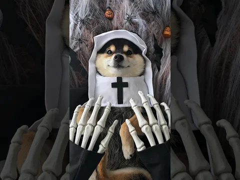 ASMR - Manyu's Halloween SPA | A Cozy Spooky Care Day