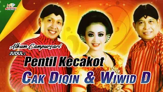 Download Cak Diqin \u0026 Wiwid Widayati - Pentil Kecakot (Official Music Video) MP3