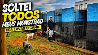 Soltei todos e quase deu rolo 