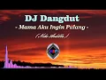Download Lagu DJ Dangdut Mama Aku Ingin Pulang  ( Nike Ardilla ).