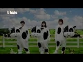 Ikimonogakari ; Koisuruotome『コイスルオトメ』 - subtitulado al español // lyrics