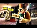 Gettin Fuzzy at Midwest Furfest 2024 - Part 1
