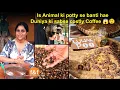 OMG! दुनिया की सबसे महंगी कॉफ़ी बनती है इस जानवर की पोट्टी से 😱😲 World's costliest Luwak Poop Coffee