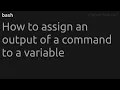 How to assign an output of a command to a variable