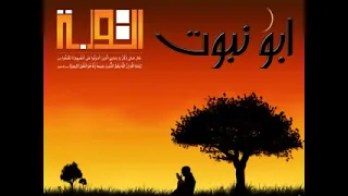 ابو نبوت   سي  د إم  ام           دندنها