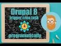 Executing custom code on cron run