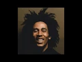 Download Lagu Burning and Looting - The Wailers (Remix)
