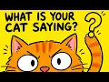 What Your Cat s Tail Is Actually Telling You