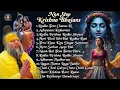 Lagu 🌸 Radha Krishna Meditation Kirtan | Peaceful Bhakti Songs 2025 | Stress Relief \u0026 Inner Peace 🙏💫