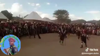 Jiminogeni Doto 2025 