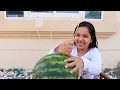 Download Lagu شفا و مصاصة البطيخ !!!