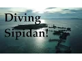 Download Lagu Best day ever! Diving Sipadan, sharks, turtles, bumphead parrotfish, drone footage of Mabul Island