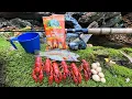 Lagu TROUT, Crawfish and Mushroom Hike and Cook in the Mountains!