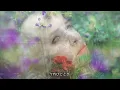 いっそセレナーデ　　井上陽水