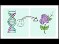 PA Biology Keystone Mod 2