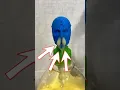 Download Lagu A normal soap bottle? Nope not today #shorts #funny