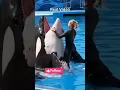 Download Lagu Jessica and Dolphin #reels #shortvideo