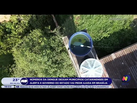 Números da dengue deixam municípios de SC em alerta, Governo do Estado vai pedir ajuda em Brasília