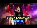 Download Lagu AKU MUSAFIR HINA | bunga larangan - UG14 ❗rock version ( cover by NieSs ) MP3