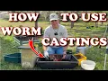 7 Ways I Use Worm Castings In My Garden Vermicompost Worm Farm