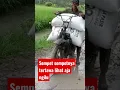 Download Lagu Luar biasa bahagianya ##shorts