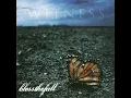 Hey Baby, Here's That Song You Wanted - Blessthefall