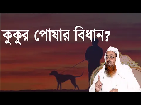 প্রশ্ন-৯৪ : কুকুর পোষার বিধান? শাইখ প্রফেসর ড. আবু বকর মুহম্মাদ যাকারিয়া