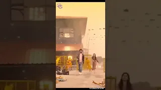 دختر عشق دیوانه کردی مره  دختر عشق دیوانه کردی مره