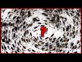 Why are animals walking in circles
