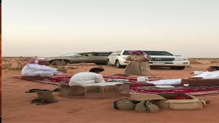 مما بقلبي رحت اشوف المداهيل 