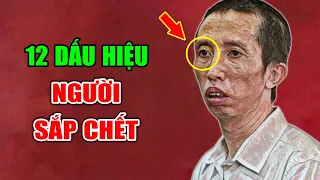 Download Người Sắp Qua Đời Thường Có 12 Dấu Hiệu Bất Thường Này, Chú Ý Kẻo Hối Không Kịp MP3