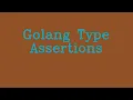 Golang Type Assertions NoTalk