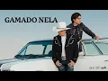 Download Lagu Chitãozinho \u0026 Xororó (José \u0026 Durval) - Gamado Nela [Vídeo Oficial]