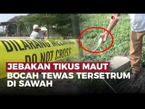 Tragis, Bocah Meninggal Dunia Akibat Tersengat Jebakan Tikus
