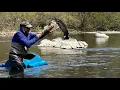 Stocking Trout in Pennsylvania - 2026 Float Stock of the Tulpehocken