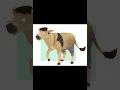 cow tf tg 2