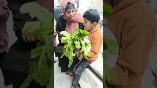 يا بني هاذي غزة فيها الهمه والعزة Subscribe غزة فلسطين Shorts Gaza القدس ترند اكسبلور اشتراك الضفه 