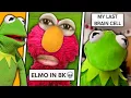 Tik Tok Memes Kermit The Frog Showed Me