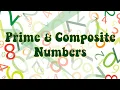 Prime and Composite Numbers Scout Them Out