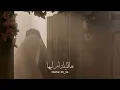 ياحور زفو وبفرح هالليلة ام ابيها (اعظم عريسين) علي بوحمد زواج النورين