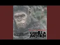 Download Lagu Gorilla Anthem