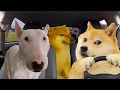 What is cringe