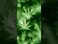 Download Lagu lagu lama yg enak di dengar dan jarang orang ketahui RENNY SILWY ( KARYA DHIEMAS AS )