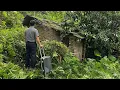 Download Lagu CEO Leaves the City for the Forest – Journey to Restore an Abandoned House