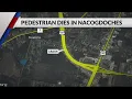 23-year-old Lufkin woman dies after being hit by vehicle while walking in the roadway